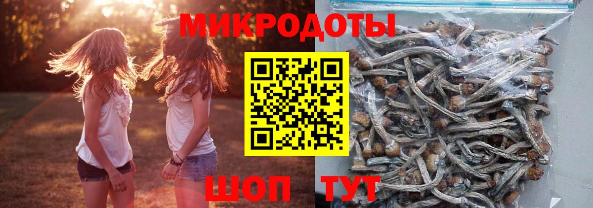 Галлюциногенные грибы Magic Shrooms Алапаевск
